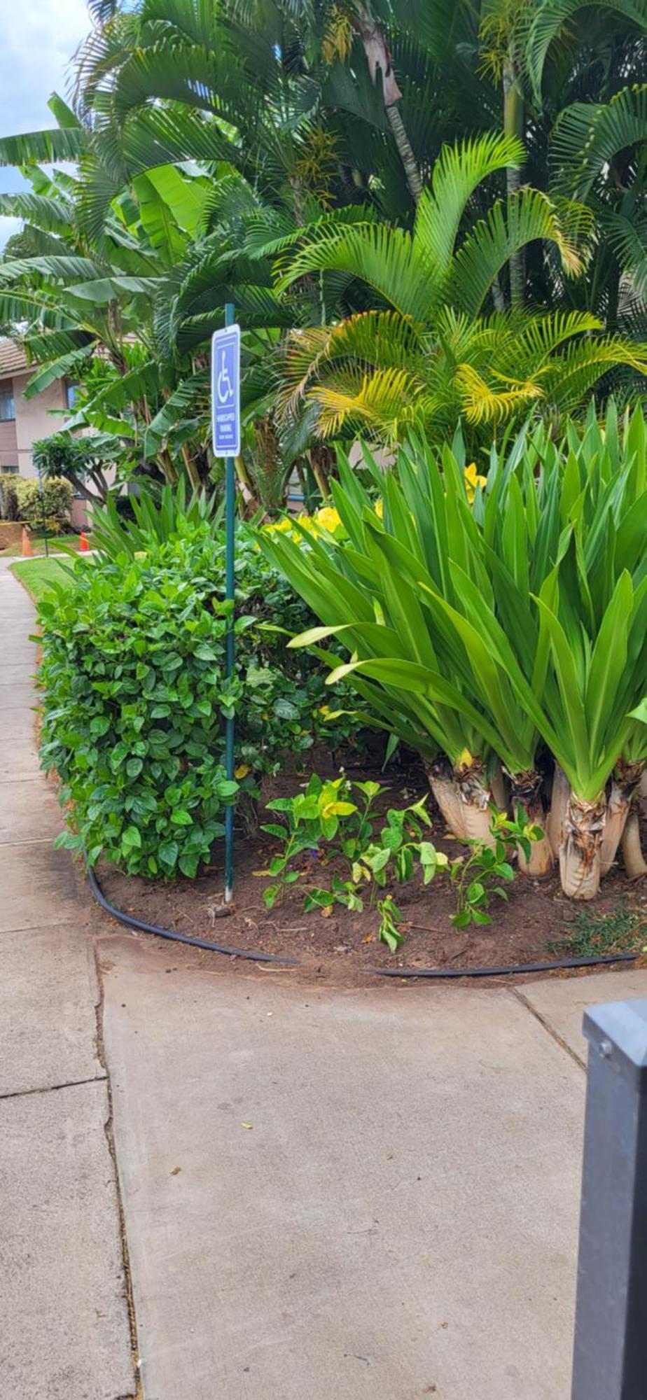 Kihei Kai Nani Resort Eksteriør billede